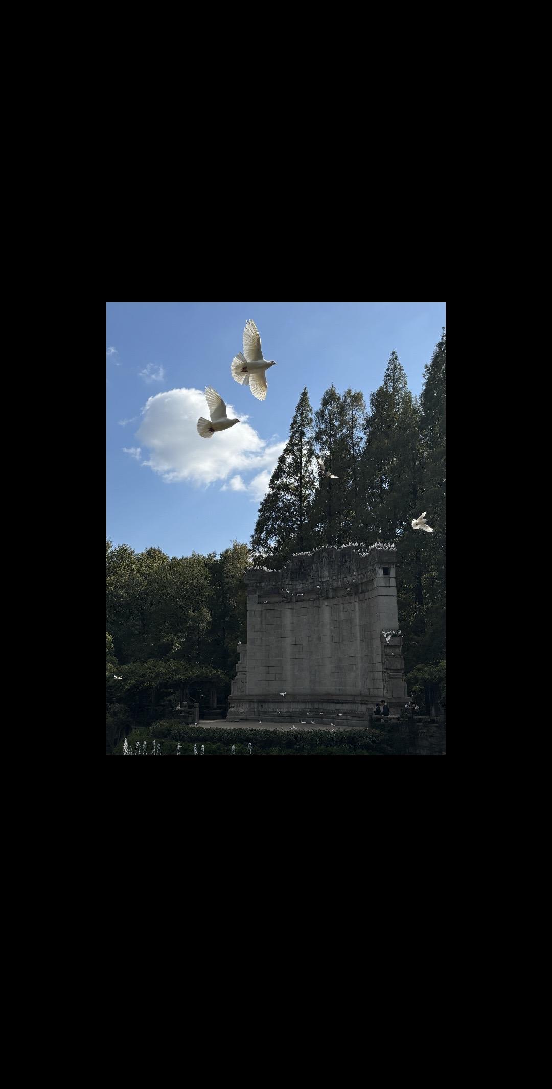 愿人生任素汐人生逆流一样澎湃