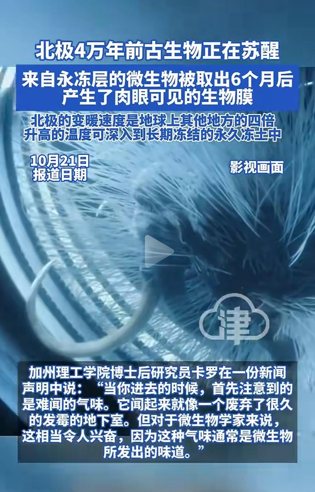 这真不是一件好事！当冰封下的微生物细菌病毒复活，可能给人类带来一场巨大的灾难。