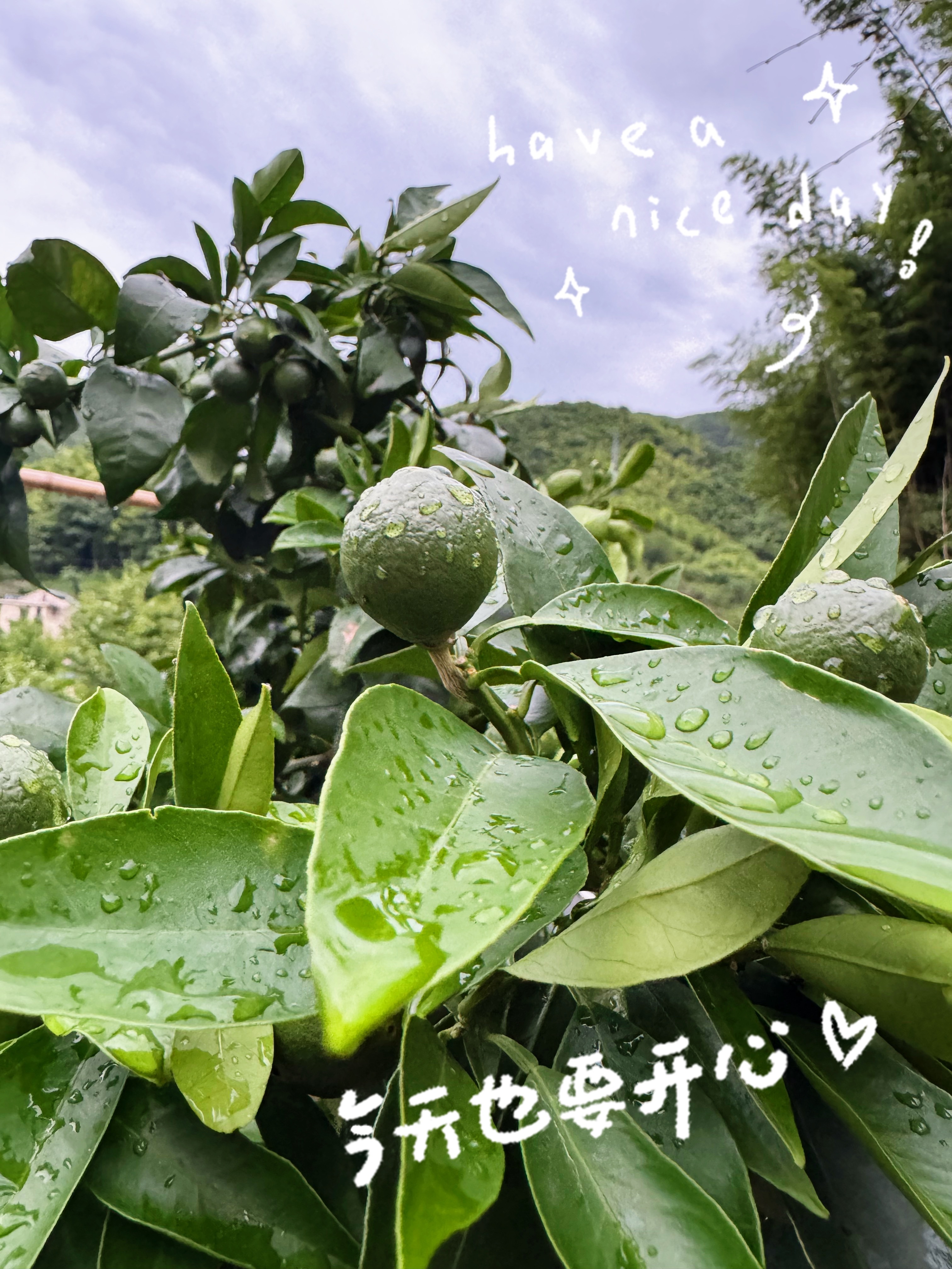 森林驿站  不必追赶落日与晚风，也不用强迫自己事事圆满。那些暂时落空的期待，总会