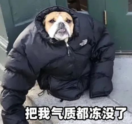 【体感温度为什么和真实温度不一样？】真实温度指的是空气本身的热力学温度，通常由温