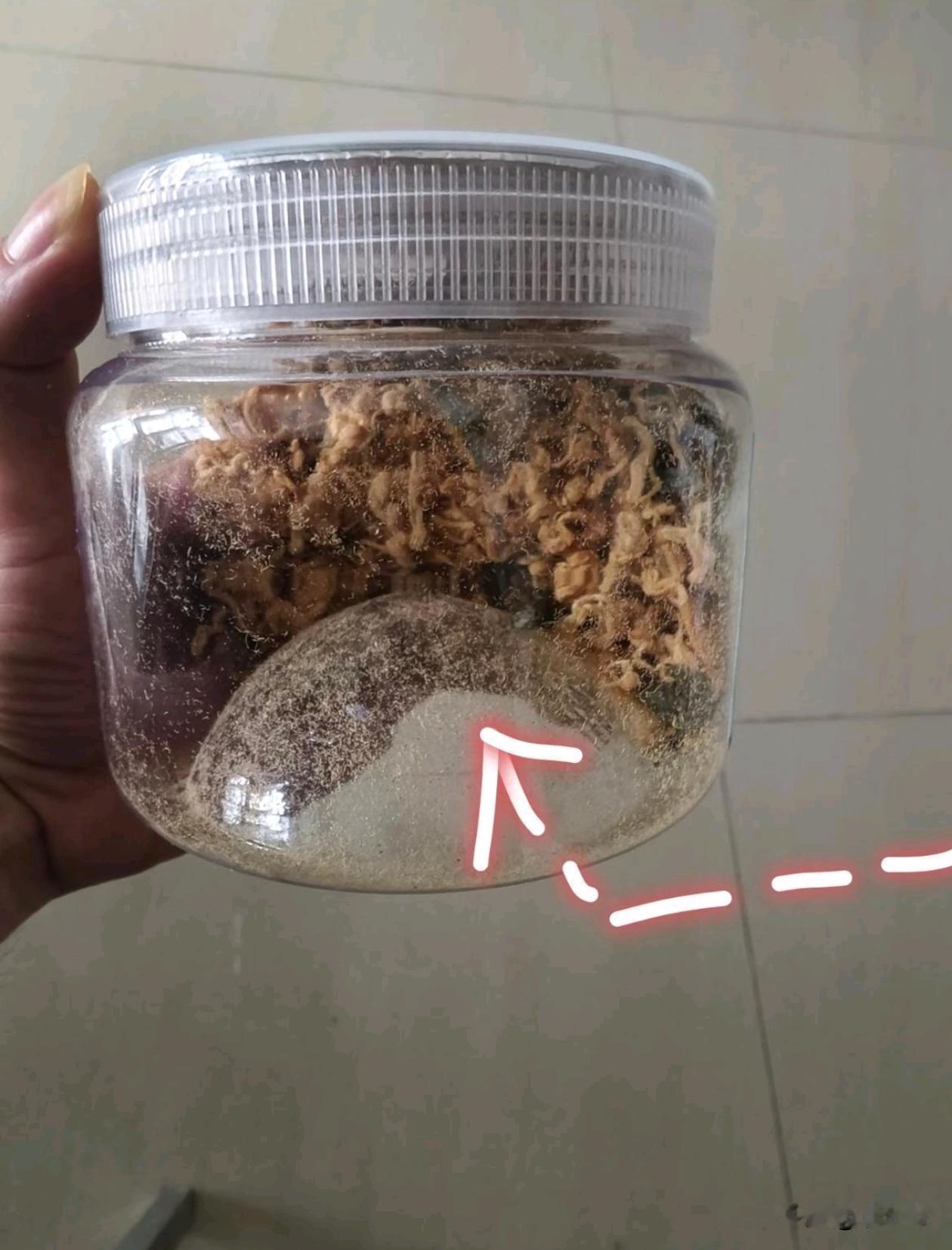 有点鬼点子，全使我们身上了