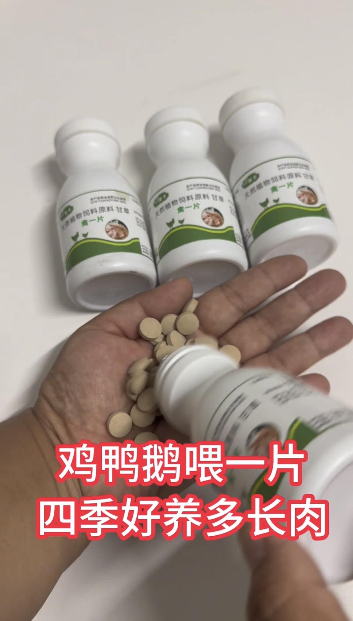 鸡鸭鹅养殖技术鸡鸭鹅养殖
