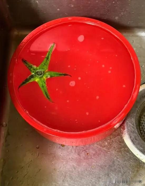 一种概念番茄