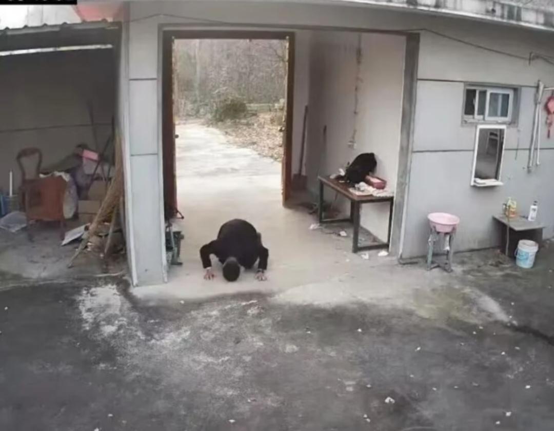 80后男子跪别已无亲人的老宅
近日范先生发布了自己回老家的视频，引发网友的热议。