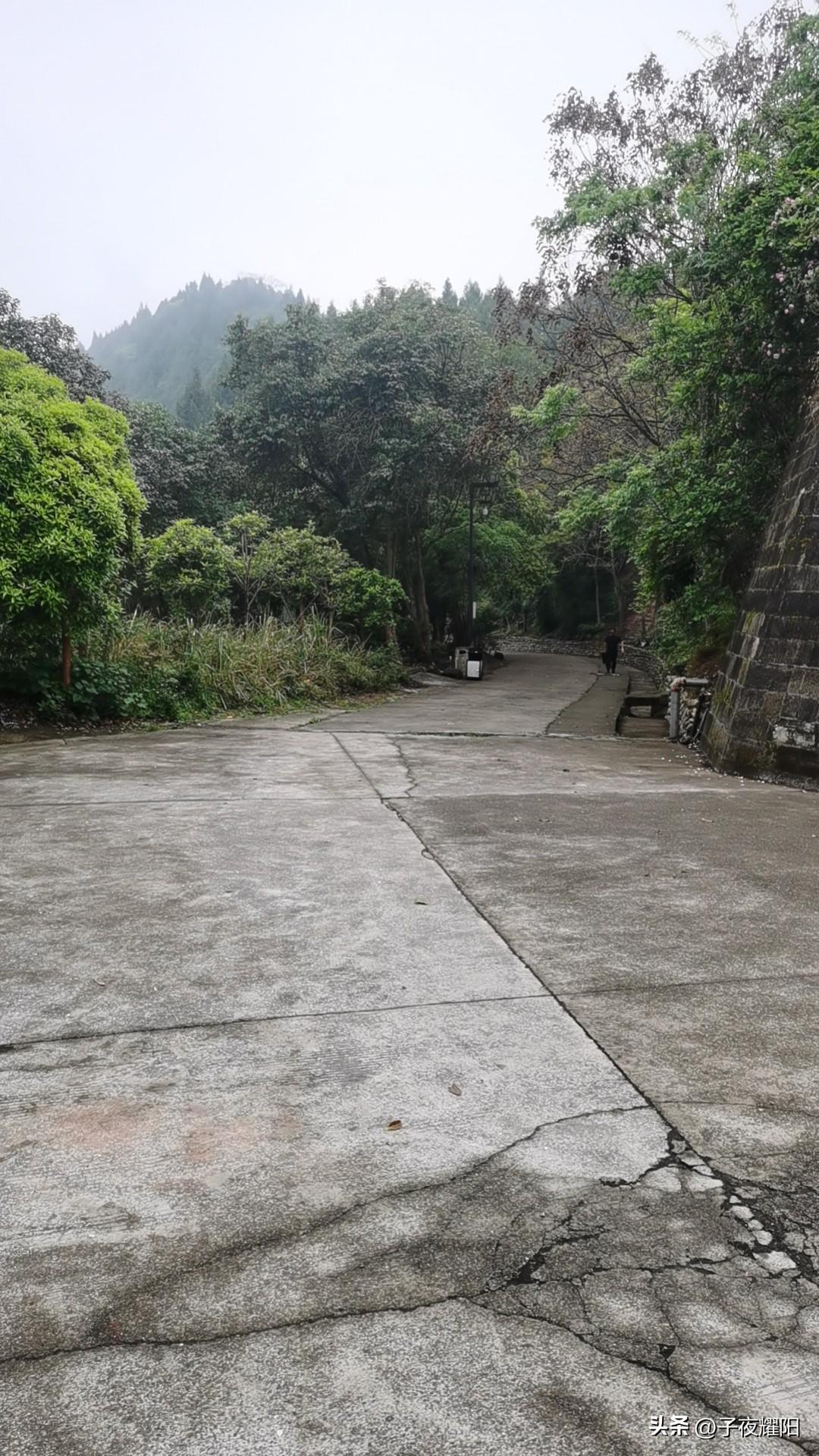 我今年四十岁，健康是我现在最注重的事，钱赚少点也没关系，有个好身体也就是无形的财