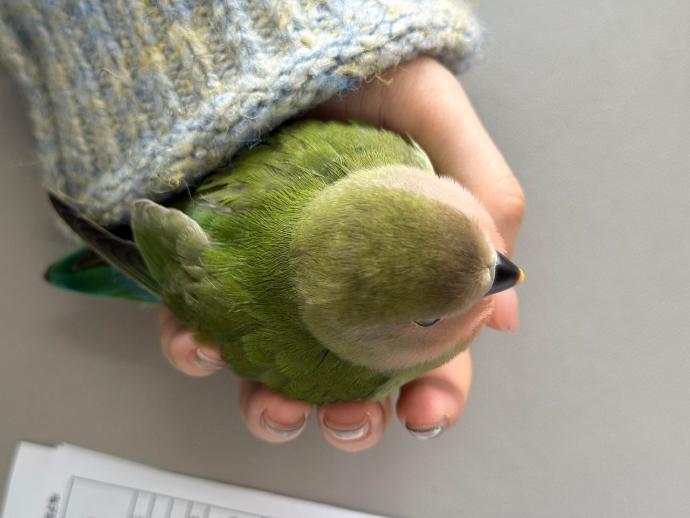 多么完美的一颗球！ 