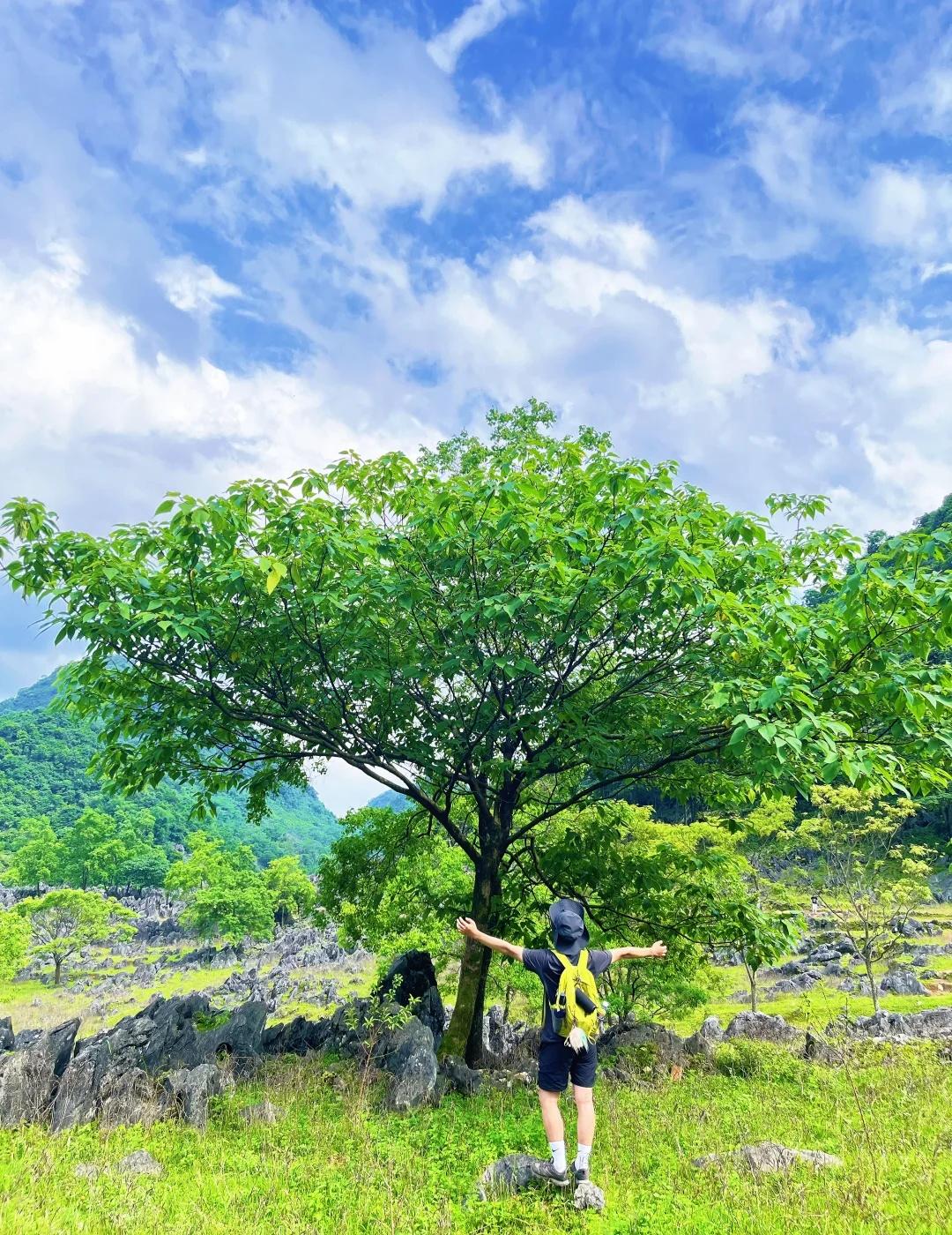 清远梅子坪保姆级攻略
📍基础信息
	
导航：阳山县江英镇上坪村党群服务中心/周