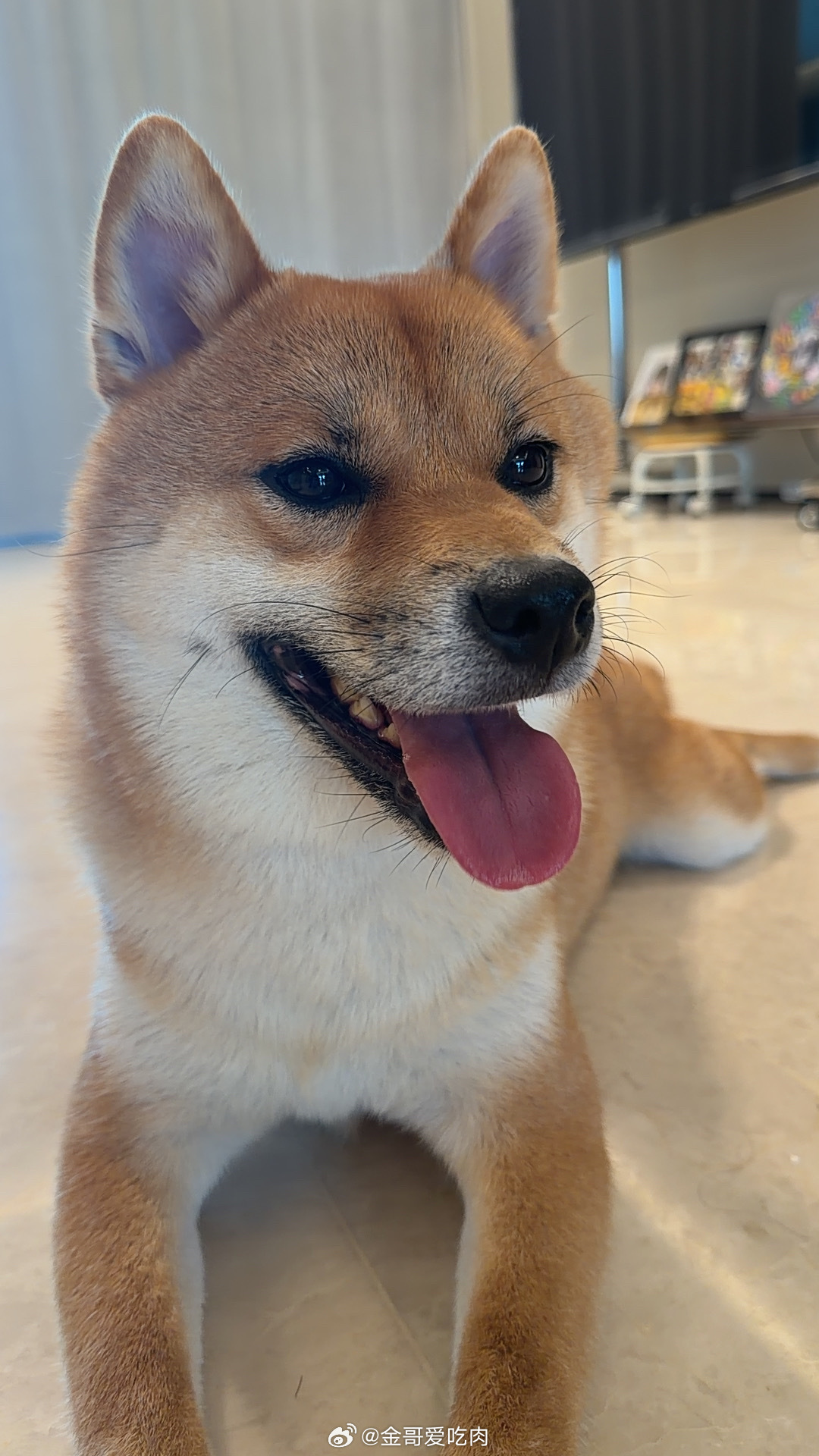 近期 