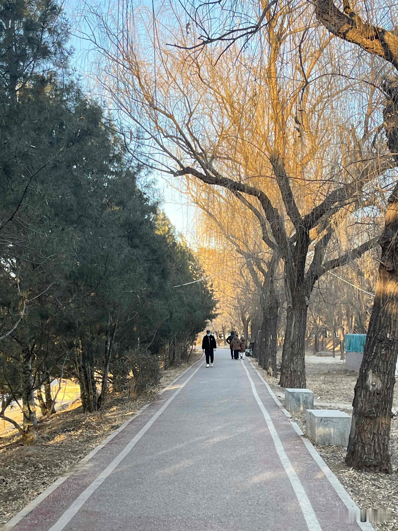 今天最高温度又是在零下，在家里面虽然有暖气，我还感觉有点冷，躺在沙发刷手机，我就