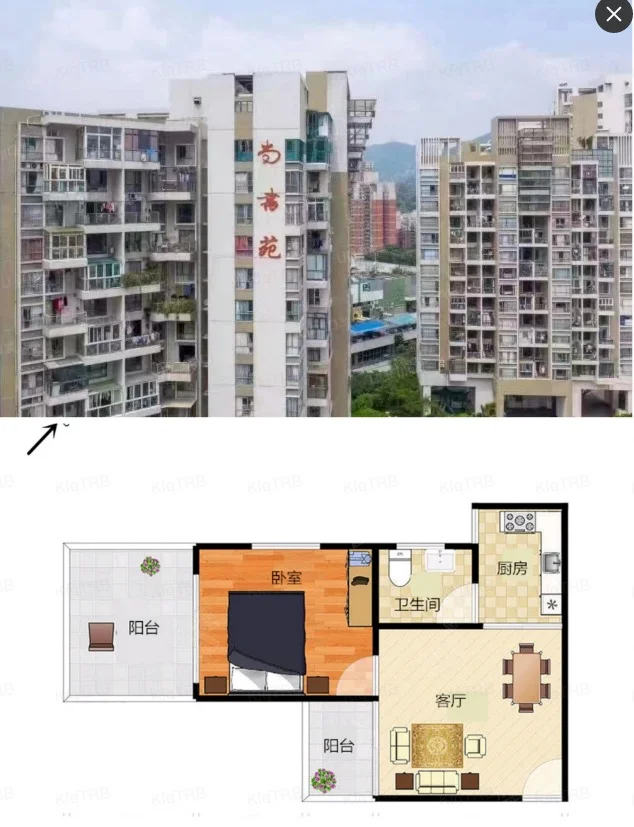 福田成交热点排名前十，高赠送