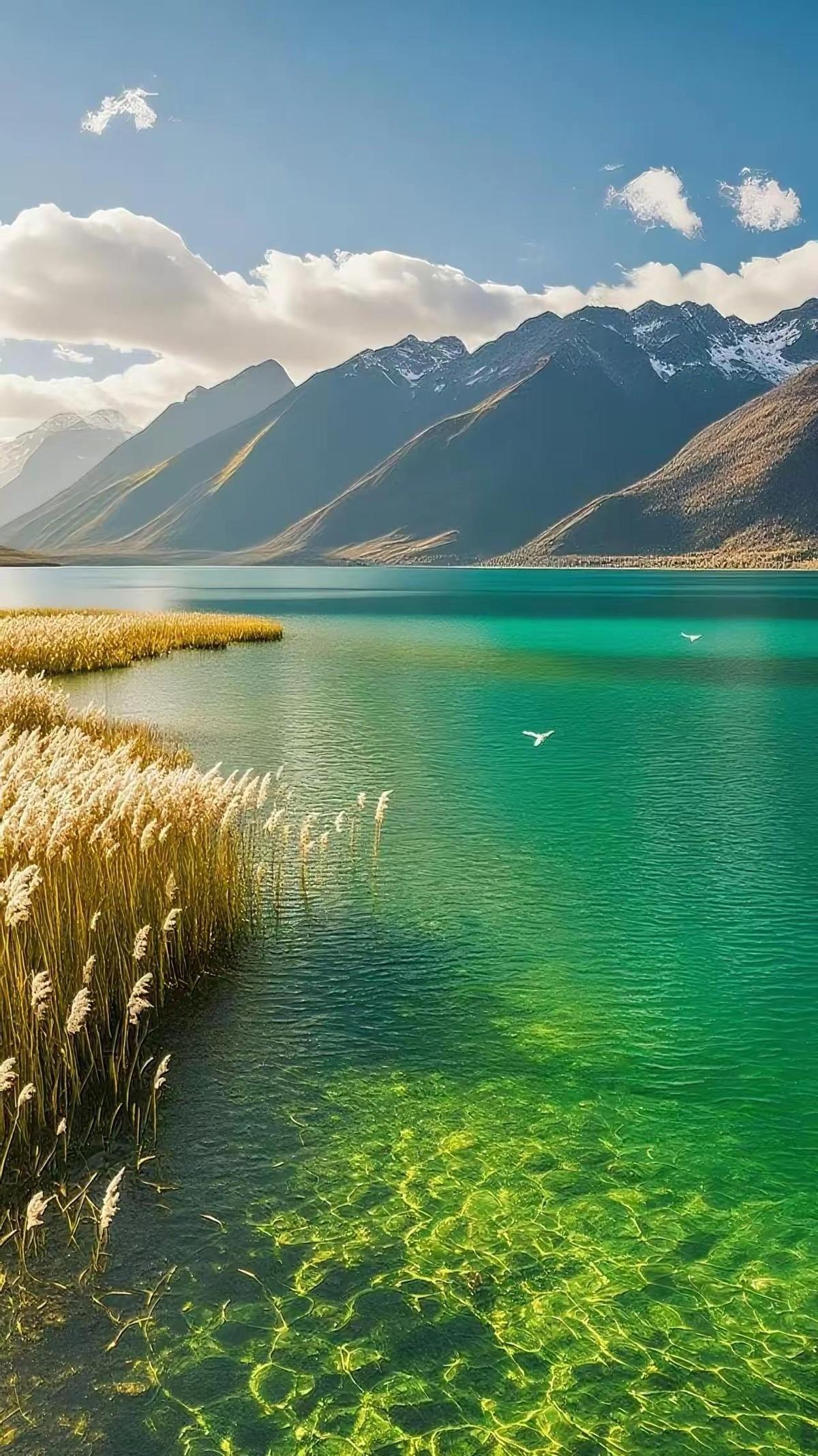 有人说，当足疗和精油spa技师都是老大妈，老阿姨，老婶子，她给你按摩的时候，把手