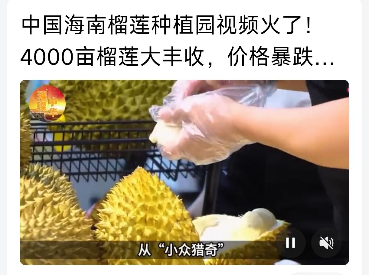 国际“经济学”出现新规律，即，我们制裁了菲律宾国防部长，反而导致榴莲价格大量下降