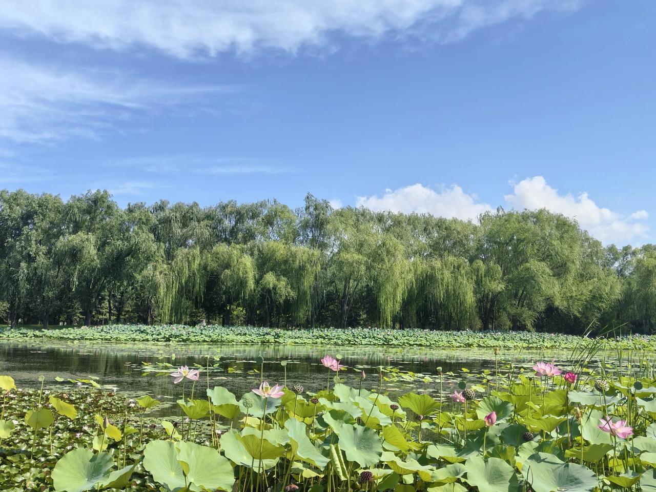 各有所爱摄影也好，音乐也罢书法旅游都可以陶冶情操，我最喜欢音乐，每天弹琴一个小时