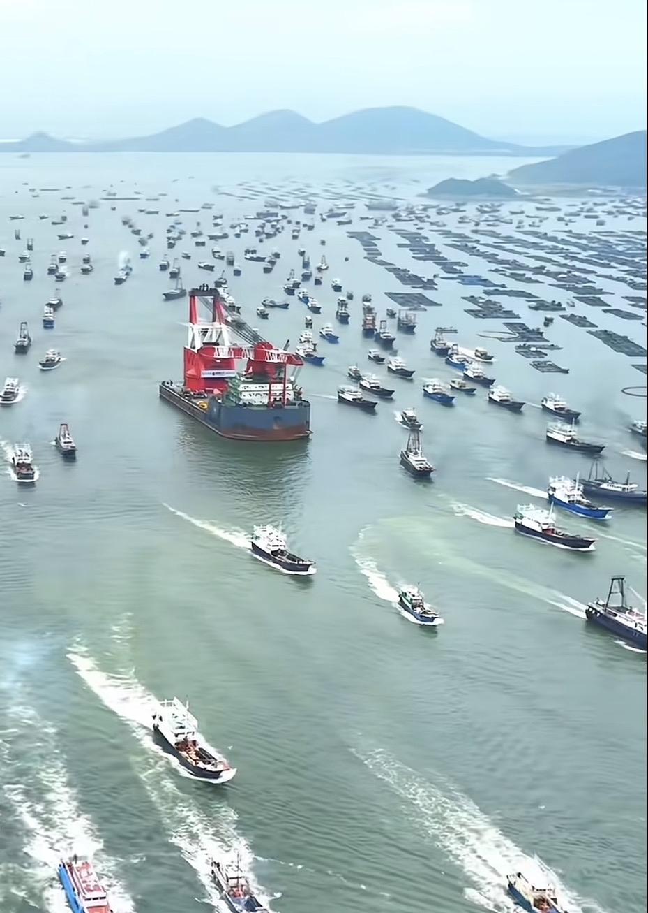 渔船齐聚海港，忙碌的捕捞景象海上繁忙的渔船，忙碌的一天开始了！🚢🐟