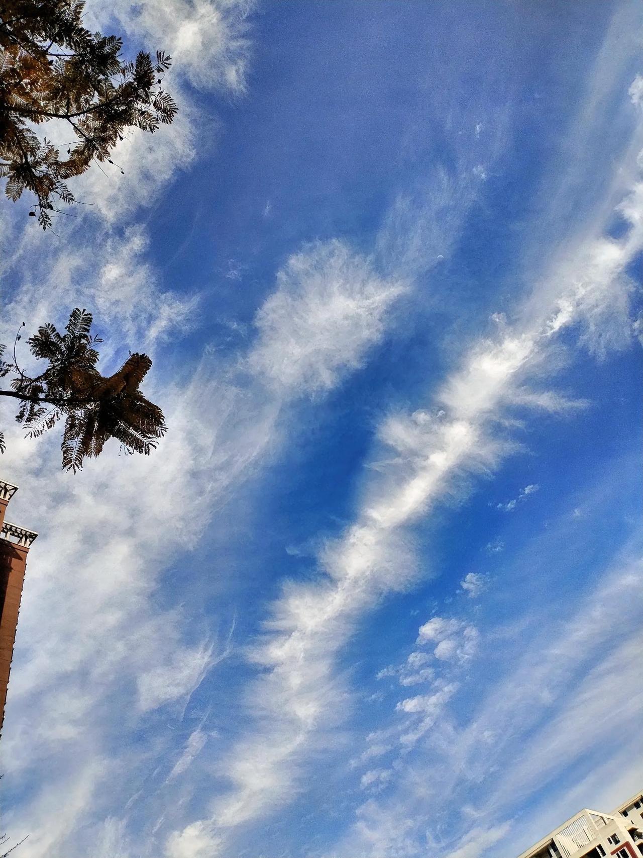 往年的冬天，总是寒风凛冽，带着刺骨的冰冷，让人只想蜷缩在温暖的室内。然而今年，那