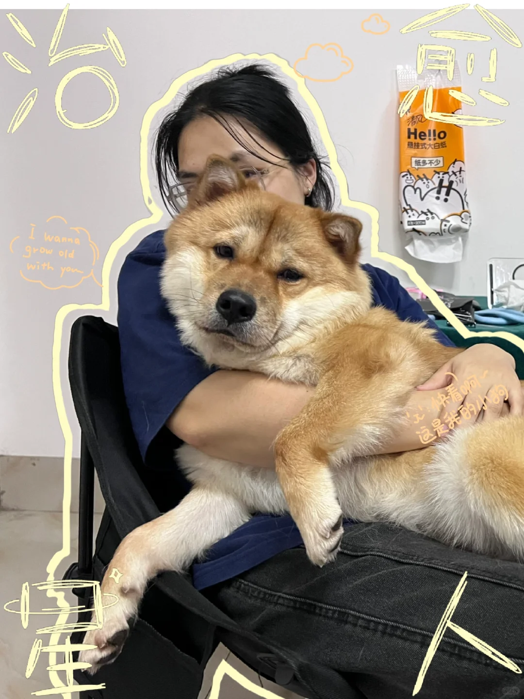 单纯晒狗🐶