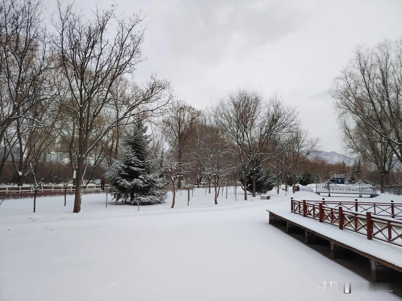 大年将至，瑞雪兆丰年！近年来，这么大的雪对兰州而言真是久违了[祈祷][祈祷][祈