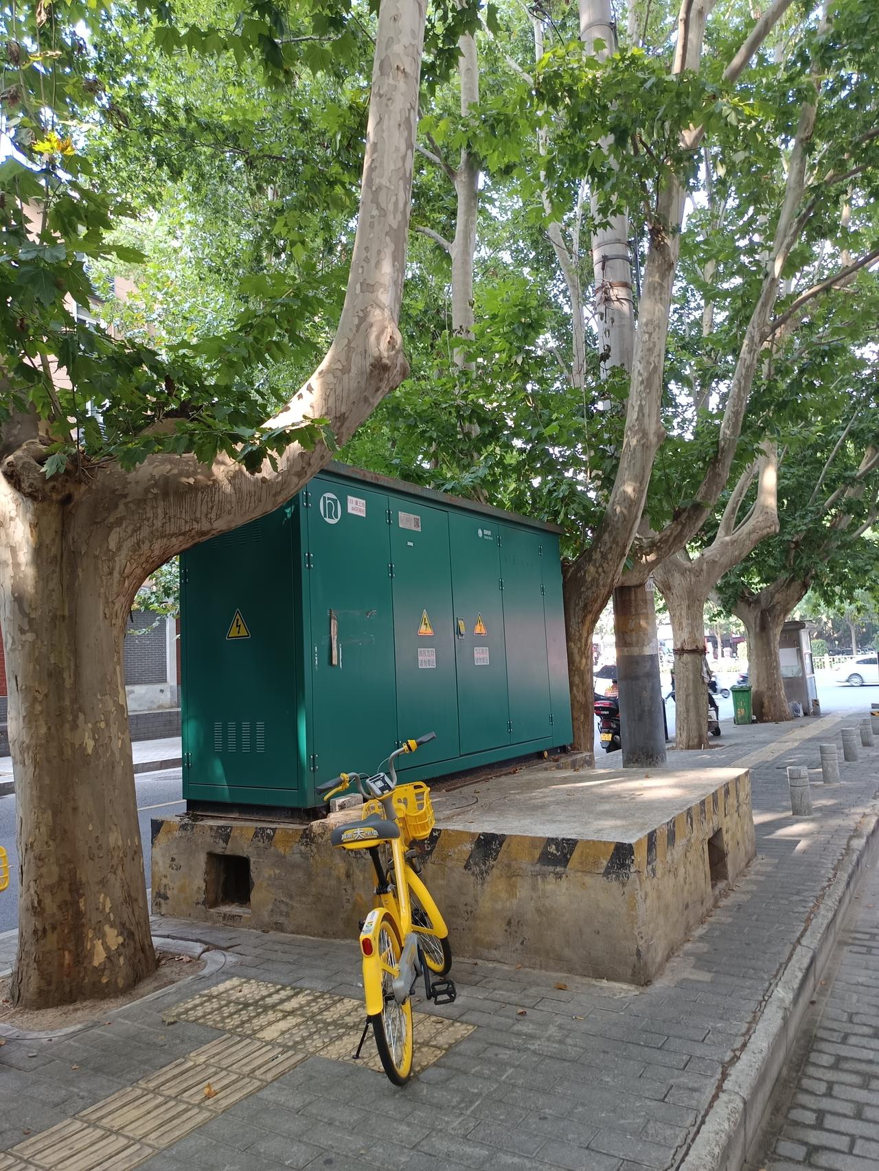 盲道成了断头路，国家电网的这个施工队优秀，难道没有更好的设计方案了吗？@国家电网