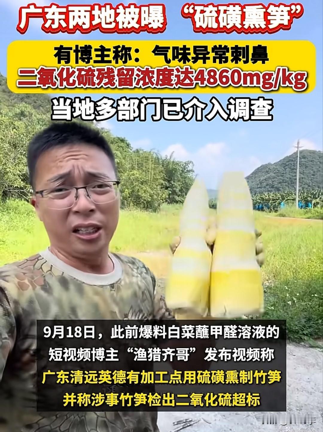 硫磺熏笋