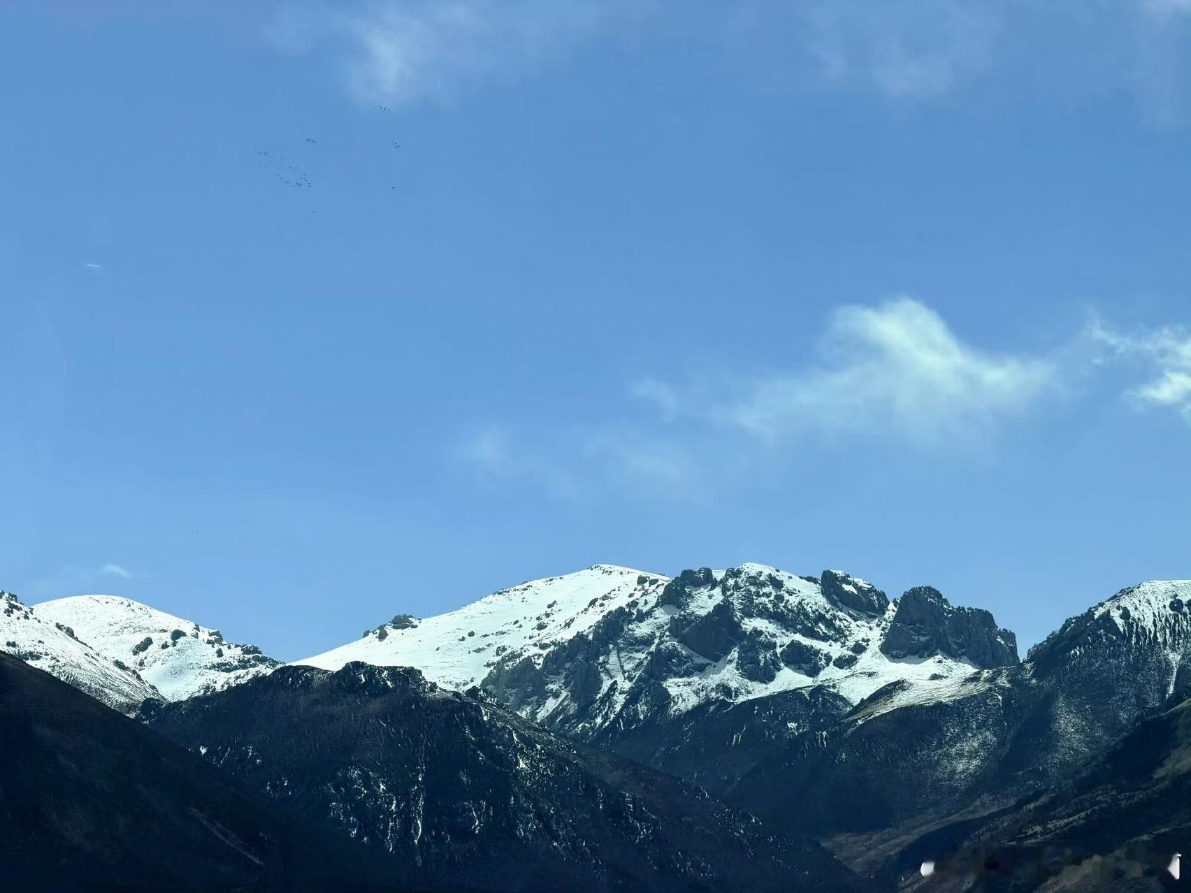种地吧4见天地宣传片种地吧 十个勤天用脚步丈量万里土地，用目光遇见山河辽阔，种地