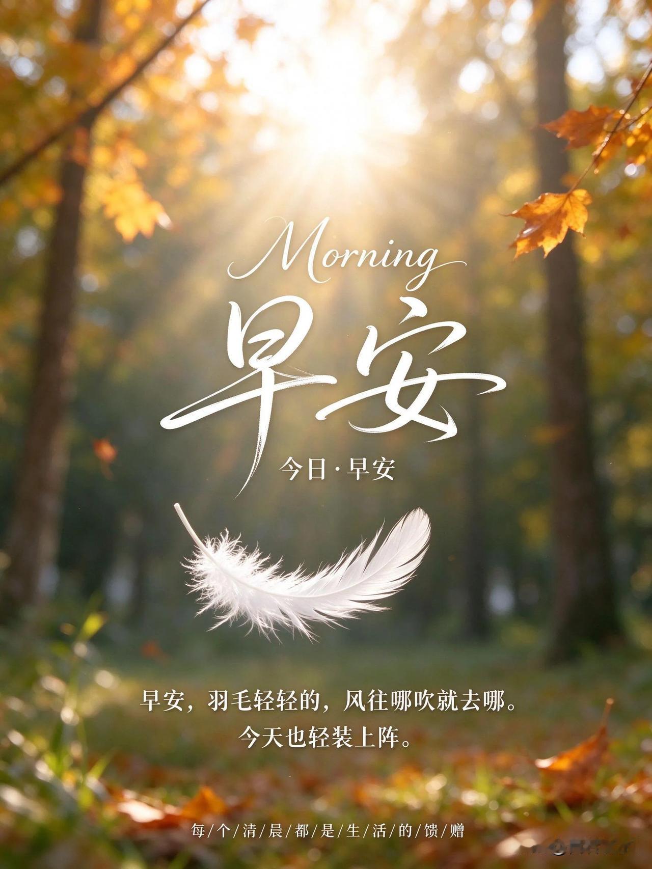 心似轻羽，随风从容，轻装前行，早安。