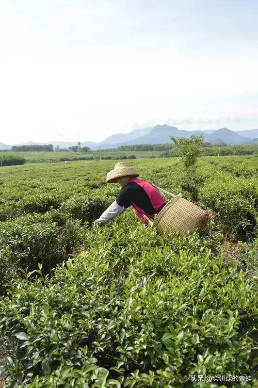 作为东北人，我一般在11月1日供暖时来海南。第一次来，真被海南的潮惊到了。屋里不