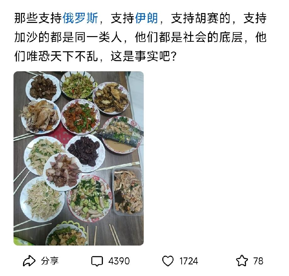 博主：那些支持俄罗斯，支持伊朗，支持胡赛的，支持加沙的都是同一类人，他们都是社会