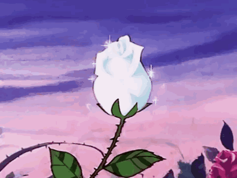 图灵塔罗  不要越没什么，就越要什么没桃花的时候就去搞钱，搞学习，搞事业搞爱好，