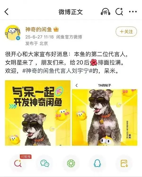 才知道闲鱼首位女明星代言人是条狗…真的是🐕。 