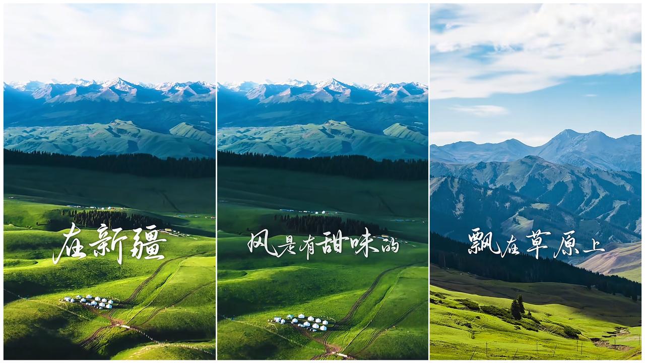 明天（8月17日）“与辉同行”直播间，新疆西梅与新疆恐龙蛋李子上新，快来品尝一口