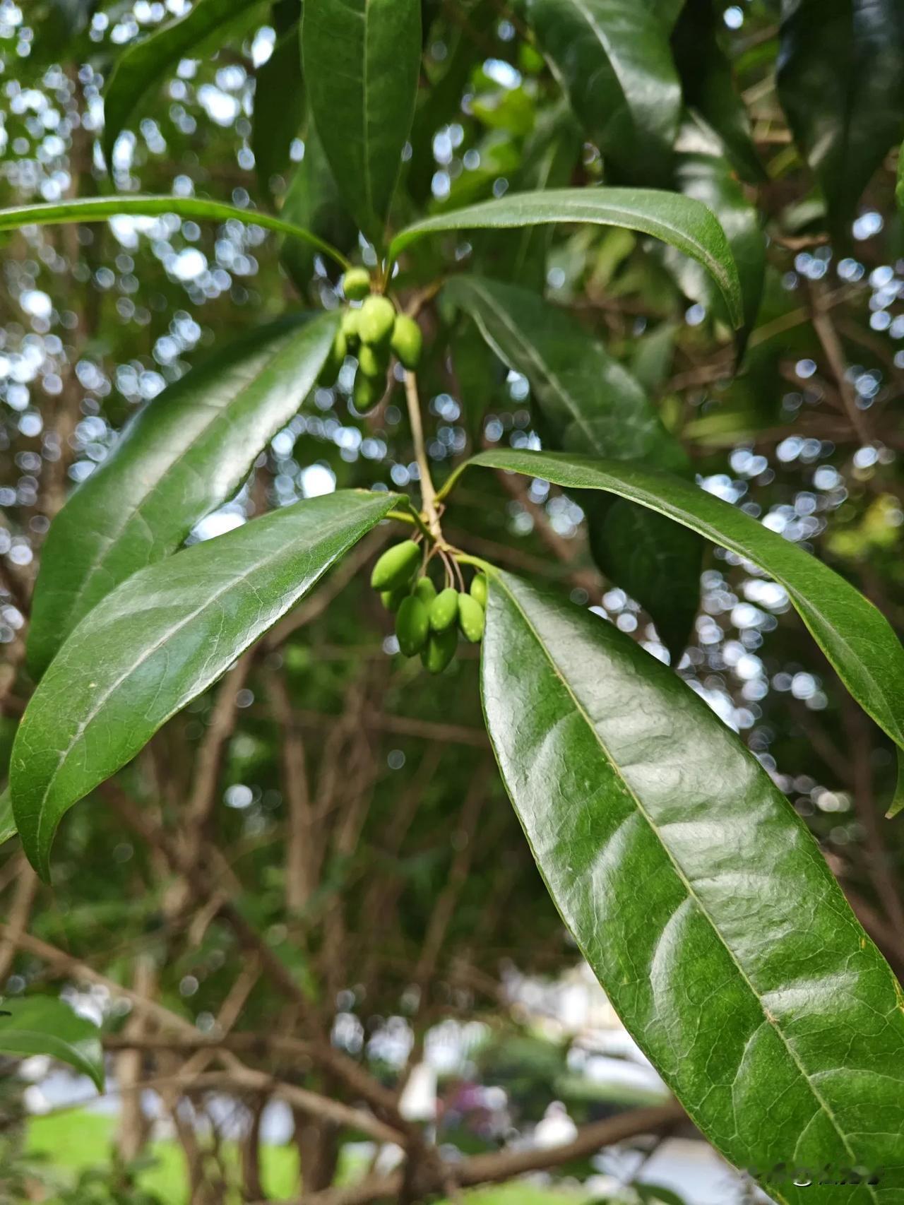 分享一张随手拍很好看的照片