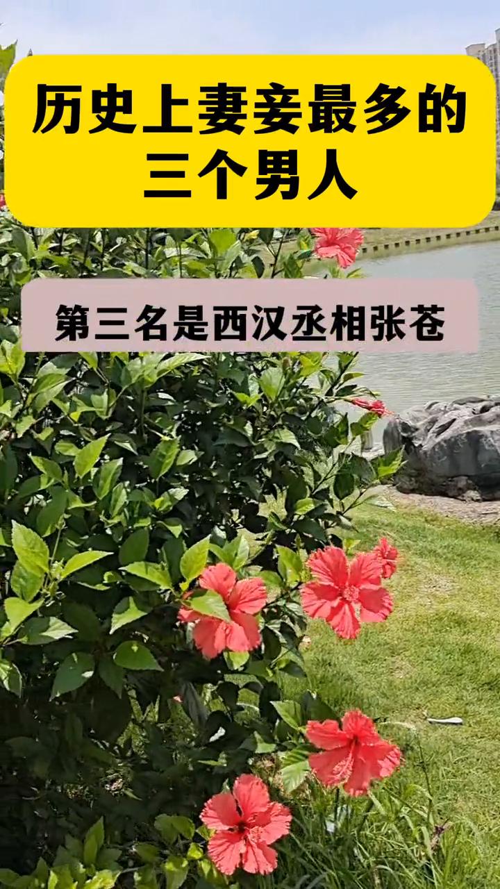 历史上妻妾最多的三个男人。
·第三名是西汉丞相张苍，才147个小妾。
·第二名洪