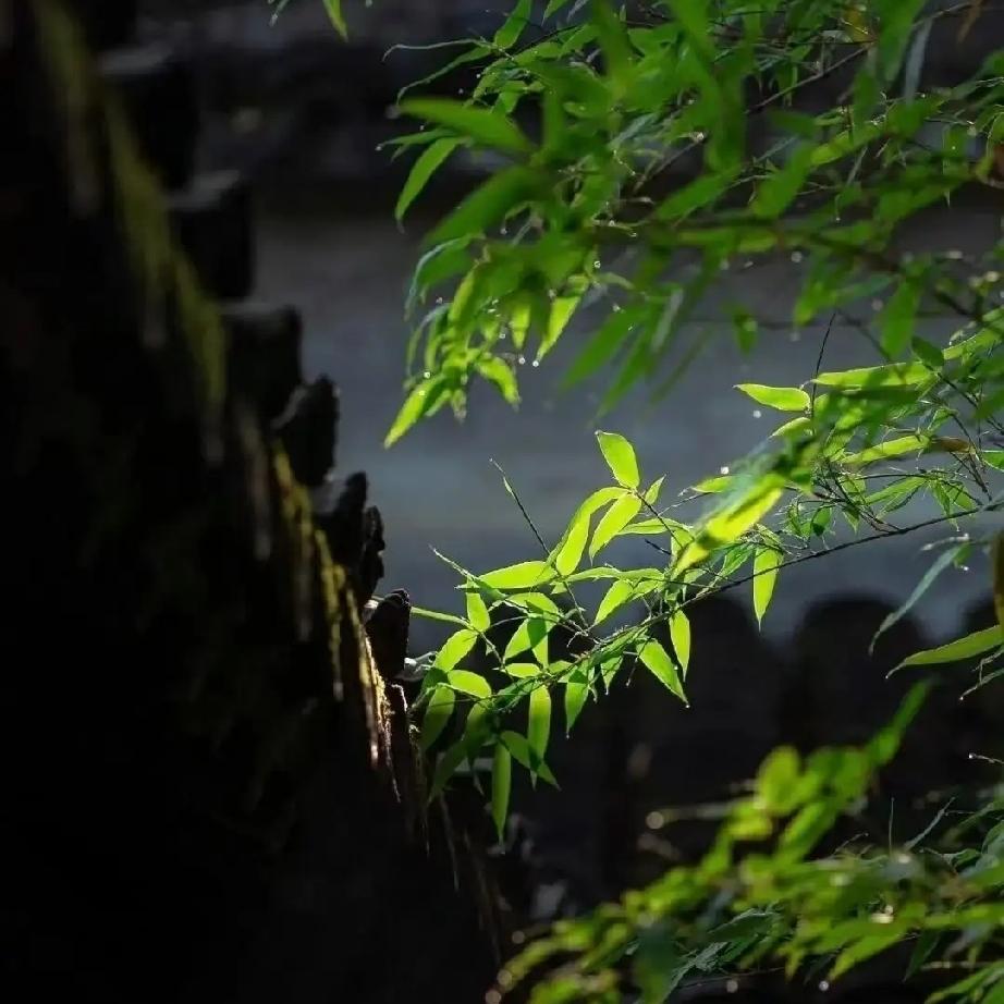 人生这条路之所以越走越沉，不是风雨太多，而是心底怨气堆积。人心本来澄澈通透，不染