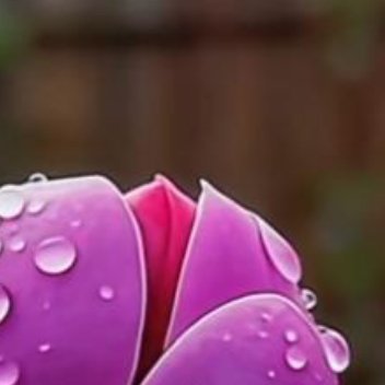 正能量生活总有会坎坷，荆棘，我们要勇敢前行，坦然面对。在人生的大舞台上，我们要努