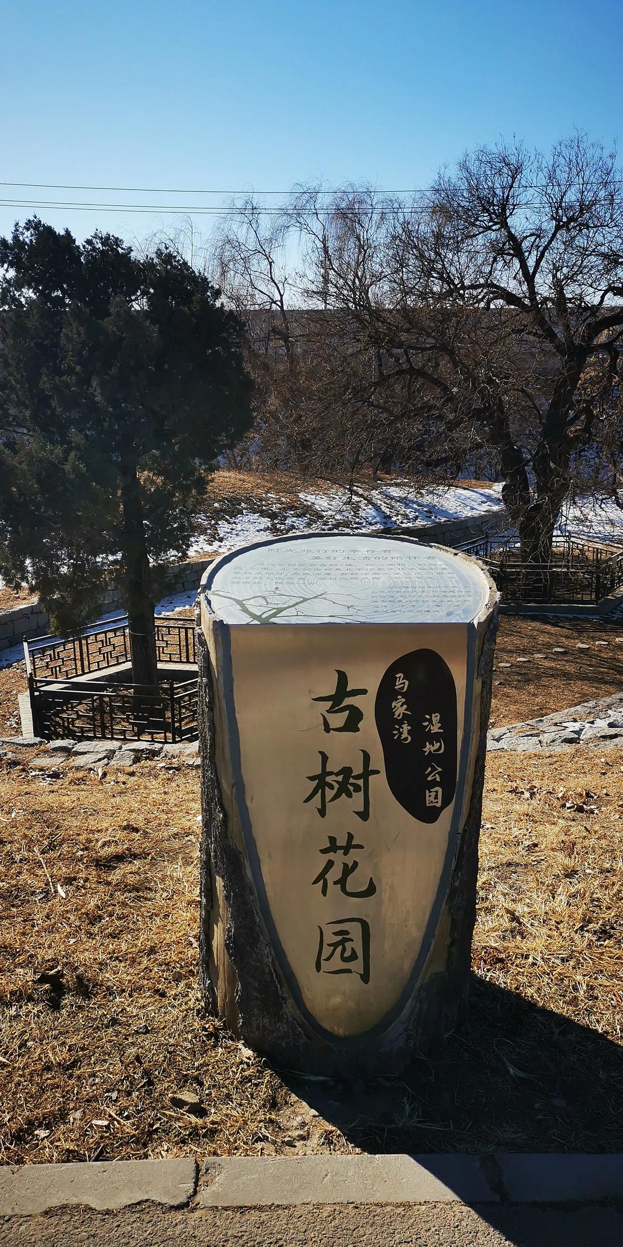 你猜


今天会高开高走还是会高开低走？

这么高的点位，机构会来接盘吗？

据