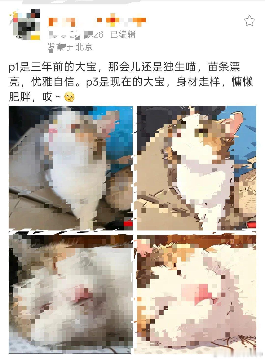 句句没提我，句句都是我，看完她的分析我不舒服了（bushi）