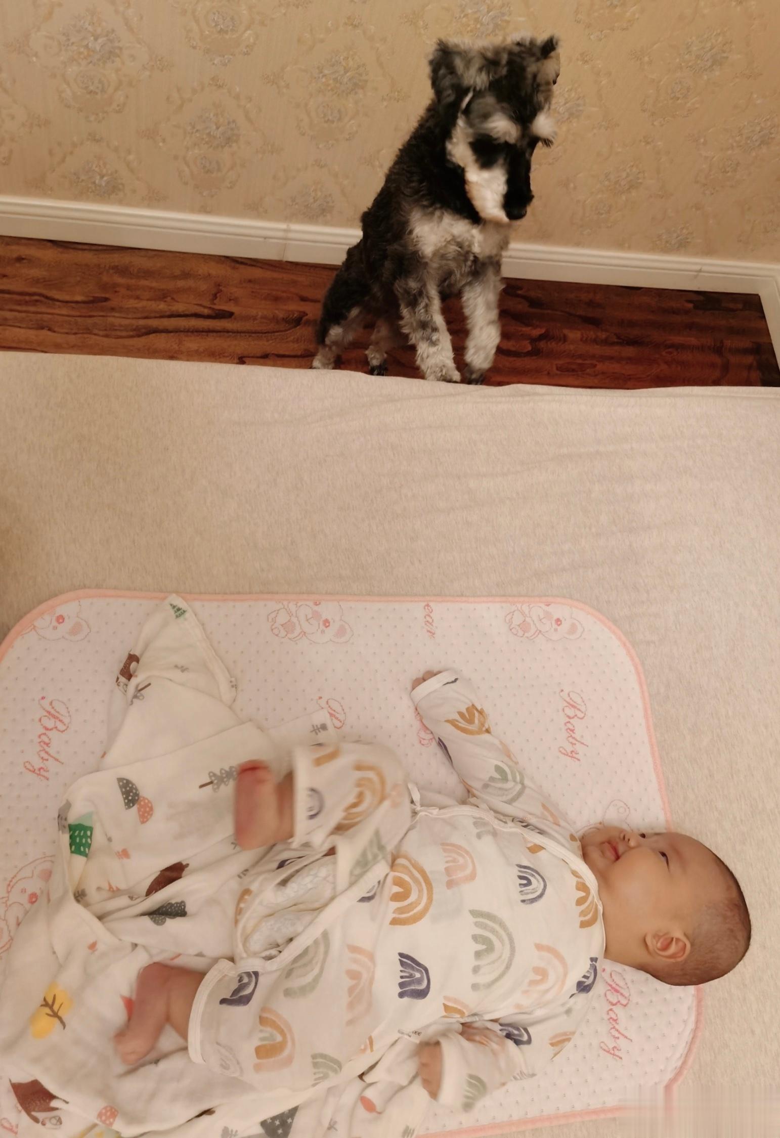 我们约好了，一起长大哦！岛岛一直保护着乔乔[心] ​​​