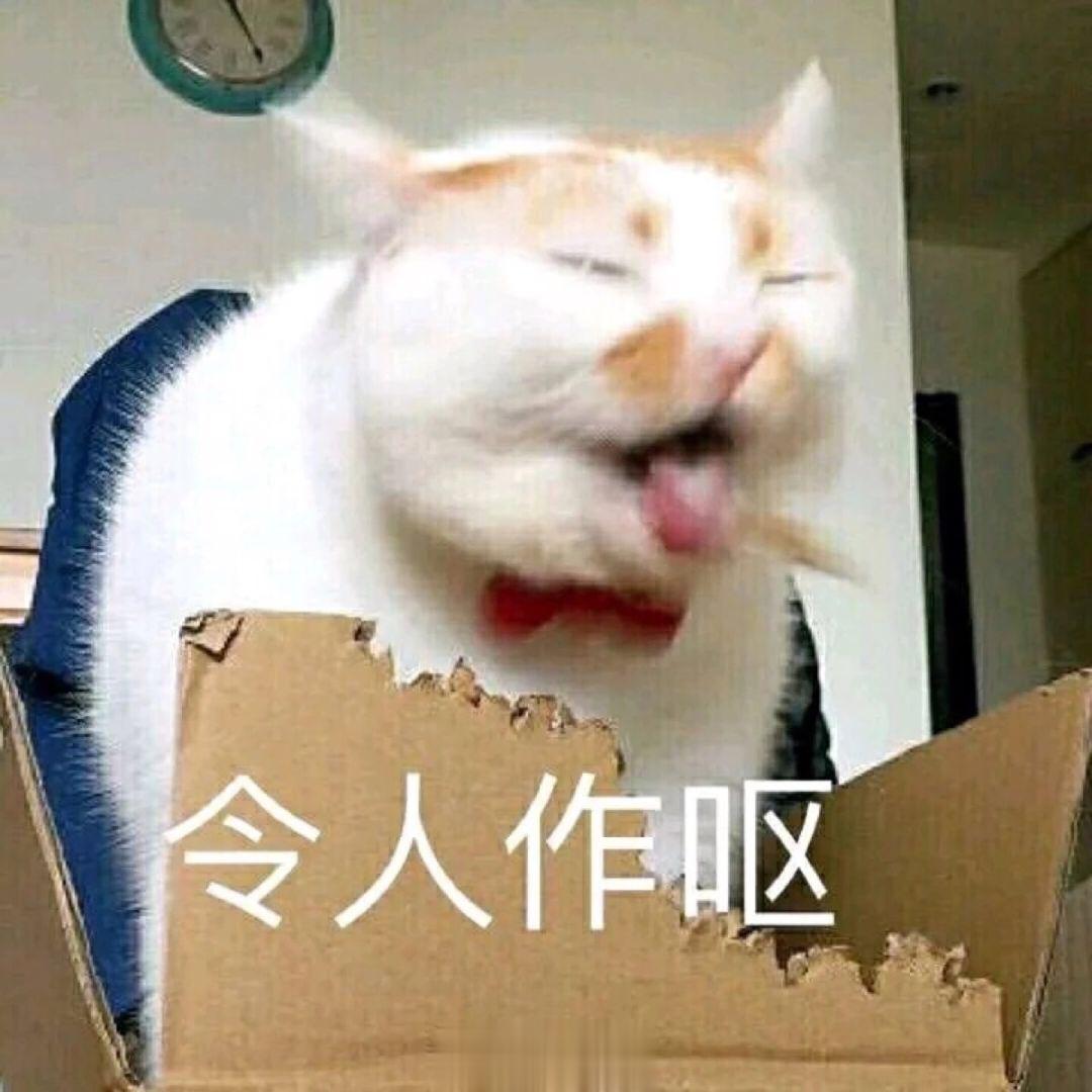 极其势力的名利场，人情百态尽显无疑哭坟，真的大可不必。#快乐大本营更名后掉粉40
