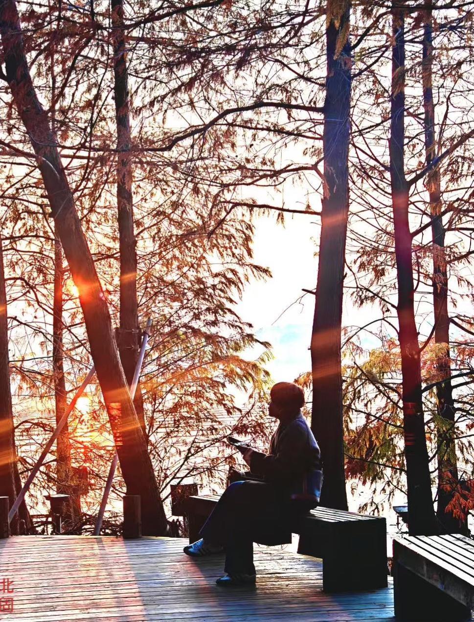 秋光从枝桠漏下来，把木廊浸成暖黄。风裹着叶的碎响，她走在光斑里，像踩着一整个温柔