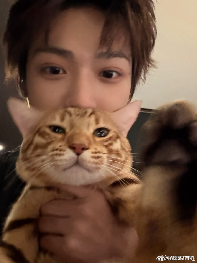 梓渝和大鱼小十一猫咪合照梓渝晒大鱼小十一合照可爱到犯规！梓渝晒出和大鱼小十一的合