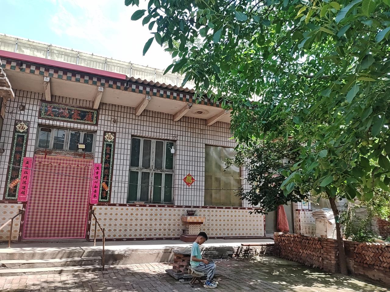 回邯郸了，妈妈的小院，一进来那感觉就像掉进了惬意的蜜罐，小院充满生机，绿意盎然。