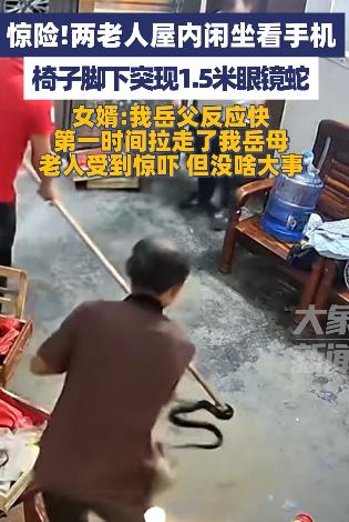 头皮发麻！广东一老人在屋内玩手机，突然感觉身后有动静，他以为是老鼠，结果回头一看