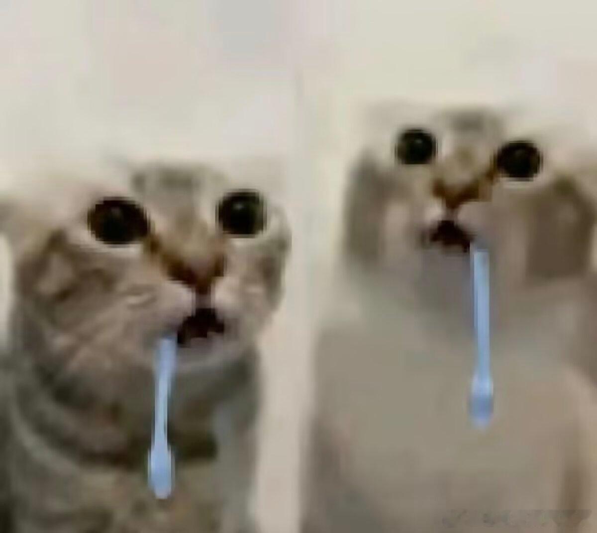 3330我和朋友待在一起: 