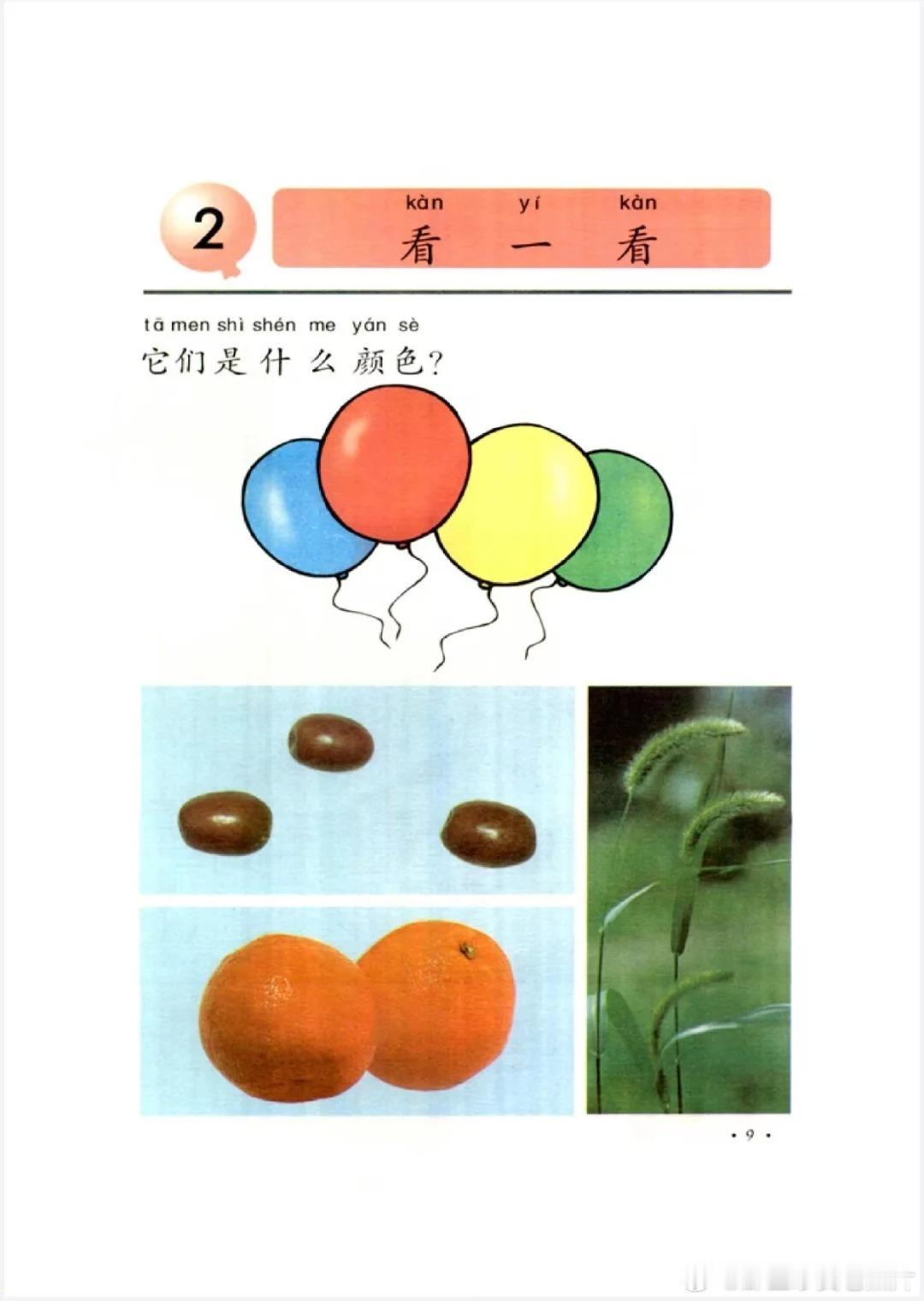 90年代小学《自然》课本 