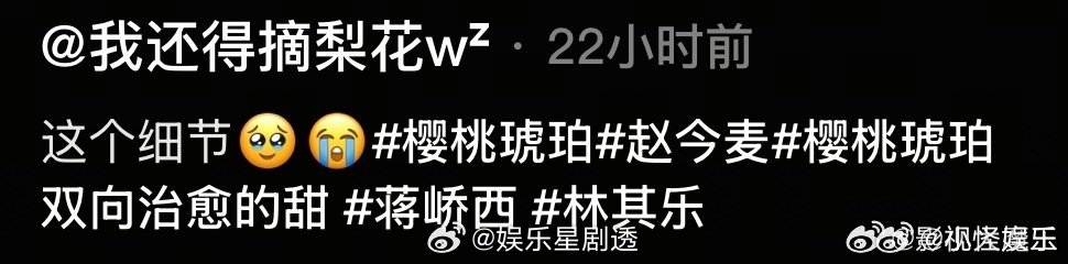 赵今麦演出了我日记里的心事看《樱桃琥珀》时，感觉赵今麦把我学生时代的心事都演出来