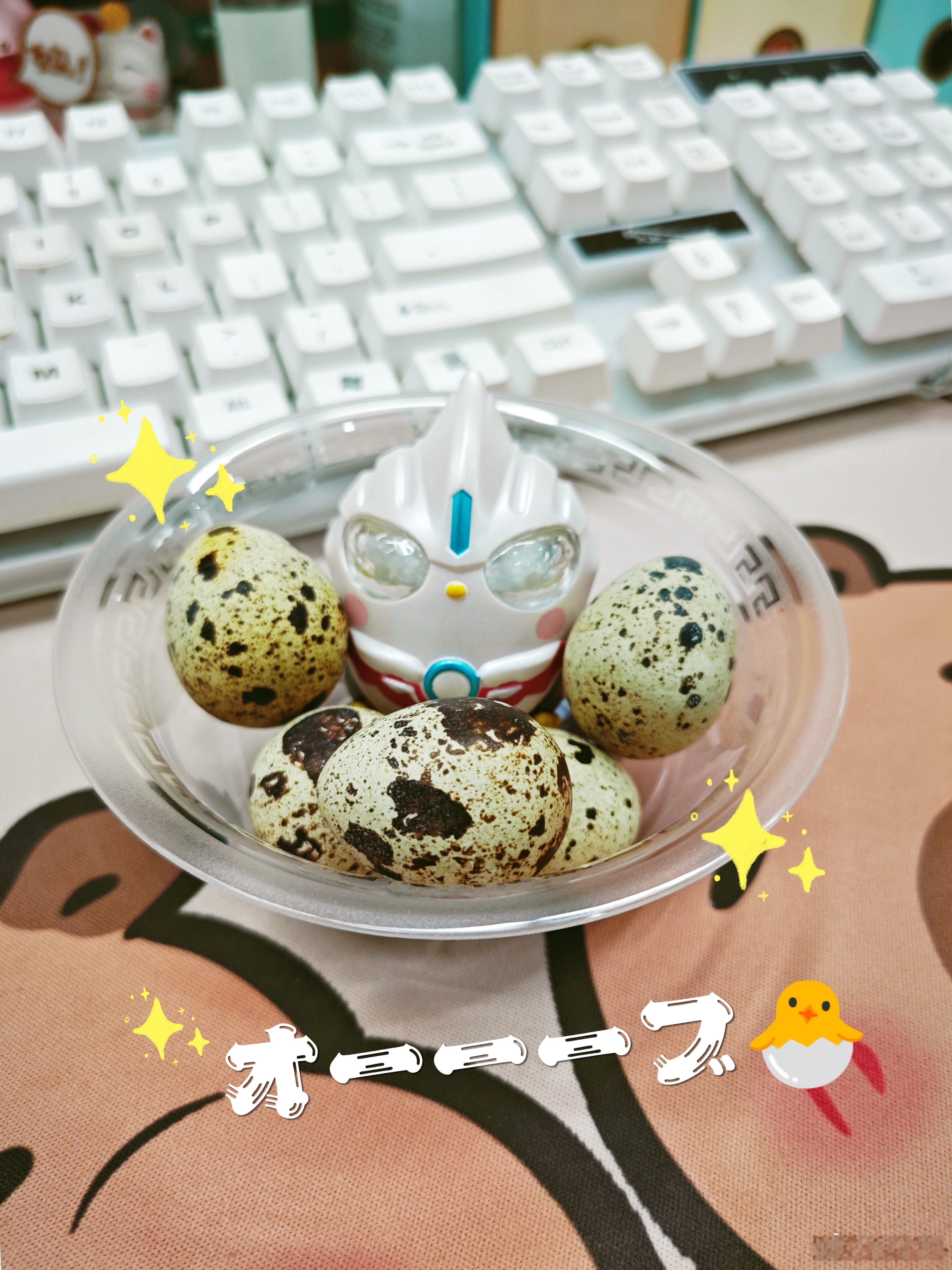🐣肥啾，诞生！✨ 