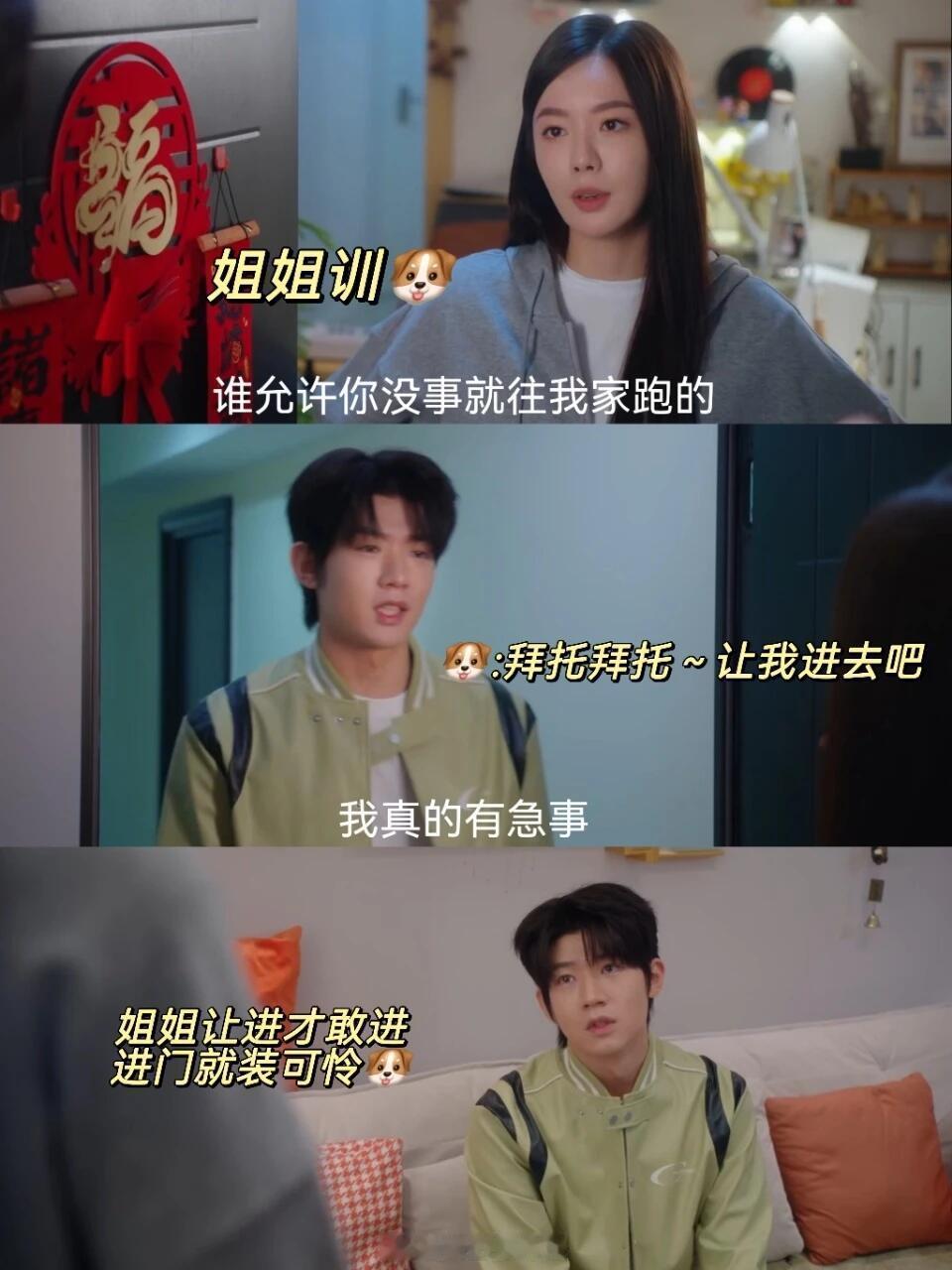 赵尧珂新剧爱豆和导演恋爱赵尧珂新剧姐狗恋 失意爱豆弟弟步步紧逼直球猛攻，天才女导
