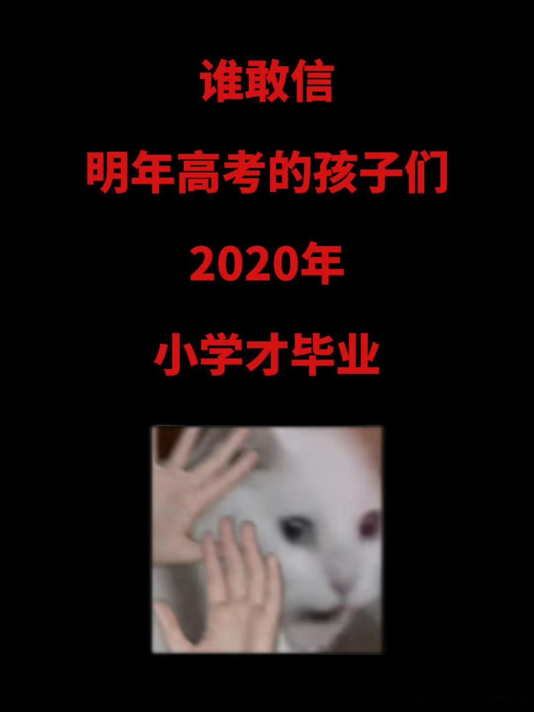 ？？？？？ ​​​