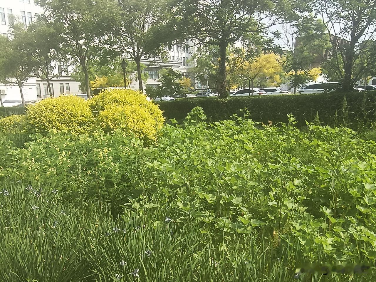 不再拘谨防备，愿意主动分享日常琐事，三餐冷暖、心事委屈都想讲给对方听；下意识包容