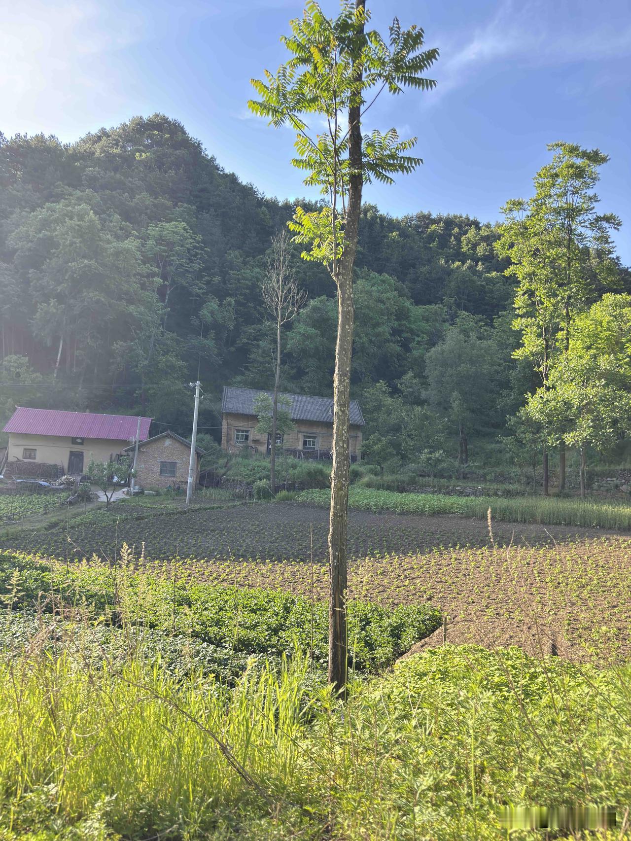 商洛商州区南泥湖村随拍，还以为这属于洛南县管辖的范围，在灞源到洛南的路上，左拐进